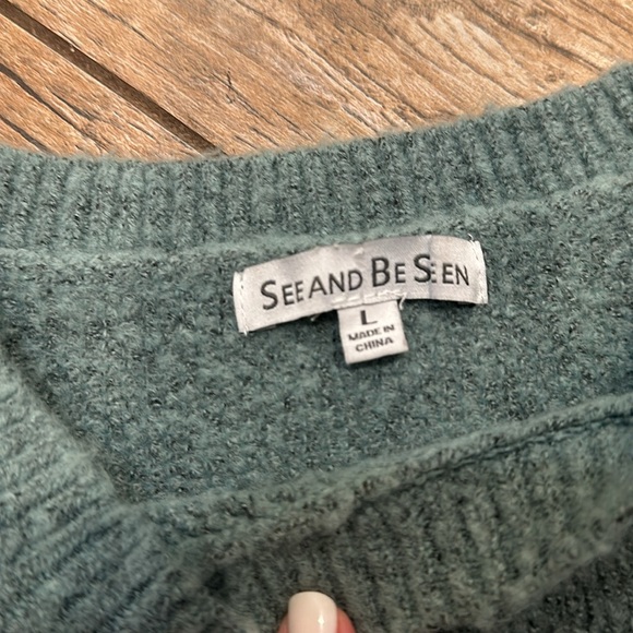 See and Be Seen Floral Days Soft As Cashmere Embroidered Sweater in Mint large - Picture 3 of 6